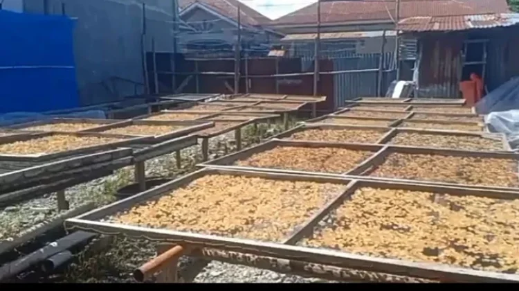 Tak Berani Naikkan Harga, Pengrajin Kerupuk Jangek Pilih Kurangi Isi Kemasan