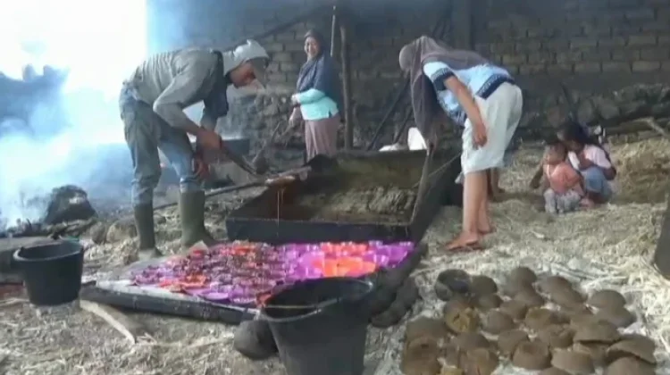 Petani Sungai Asam Hadapi Tekanan Biaya, Lahan Gula Merah Beralih Fungsi