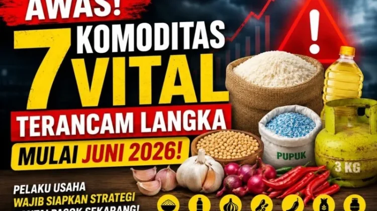 Mulai Juni 2026, Tujuh Komoditas Vital Terancam Langka