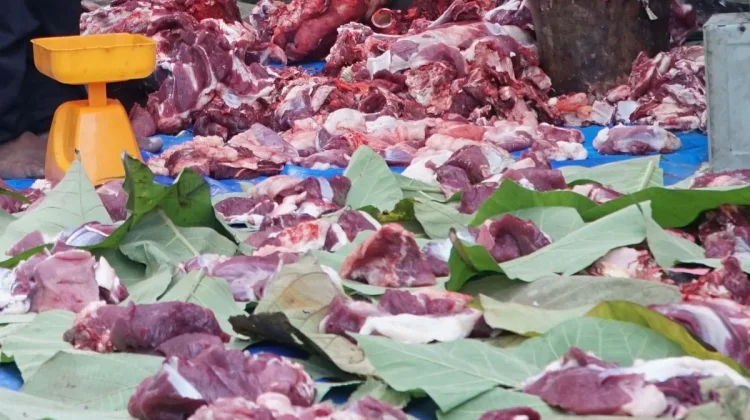 Tips Menyimpan Daging Kurban agar Tetap Segar dan Sehat