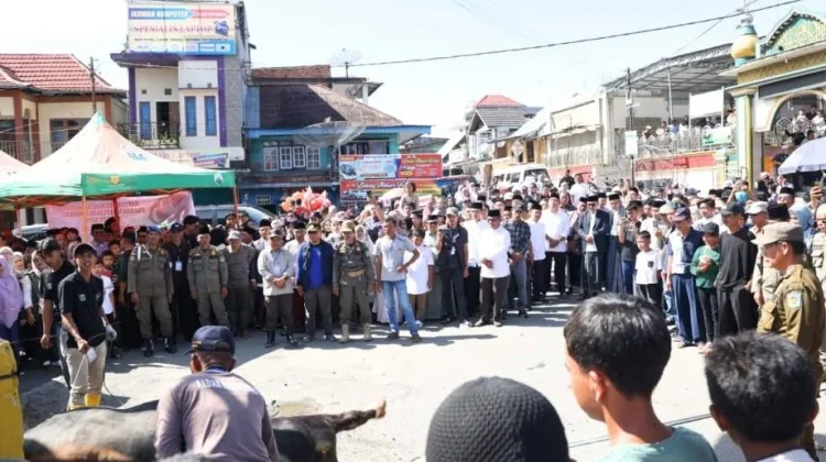 Sapi Kurban 800 Kg dari Presiden RI untuk Sungai Penuh Disembelih