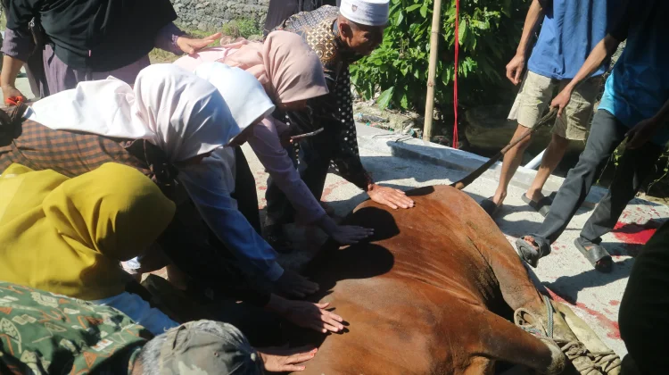 Semangat Kebersamaan Warnai Penyembelihan Hewan Kurban di Musholla Istiqlal