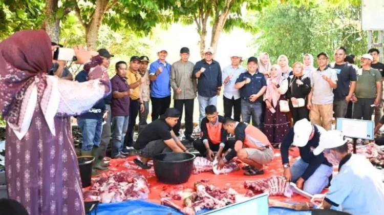 Perdana Digelar, Kurban ASN Sungai Penuh Jadi Momentum Kebersamaan