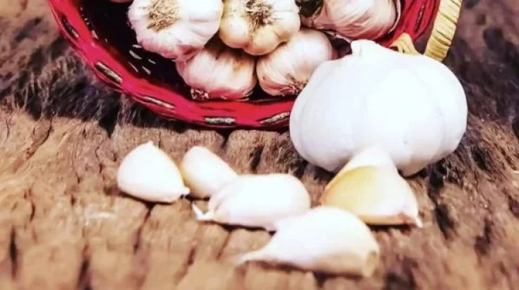 Khasiat Olesan Bawang Putih bagi Kesehatan