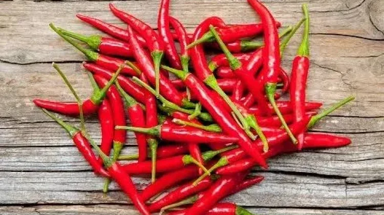 Manfaat Cabe untuk Saluran Pencernaan yang Jarang Diketahui