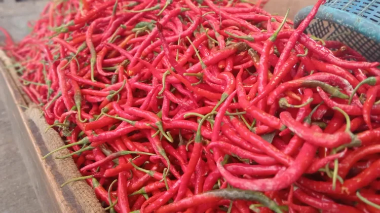 Harga Bumbu Dapur Berubah di Sungai Penuh,Namun Pasokan Masih Aman
