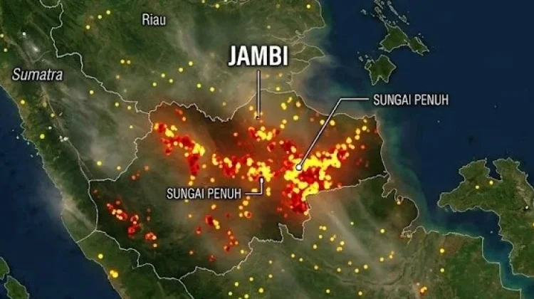 Sebaran Hotspot di Jambi, Merangin Catat 7 Titik Panas