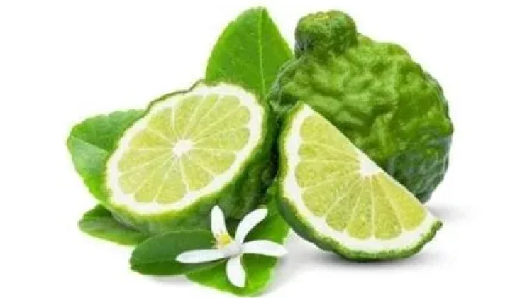 Bergamot, Buah Jeruk dengan Segudang Manfaat