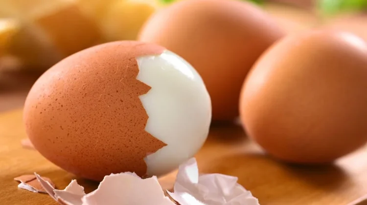 Makan Telur Rebus Setiap Hari, Benarkah Baik untuk Tubuh?