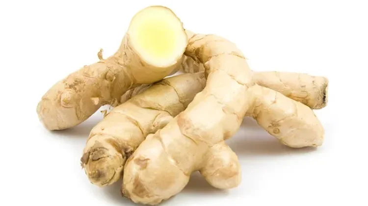 Mengenal Kunyit Putih, Rimpang Herbal dengan Segudang Potensi Kesehatan