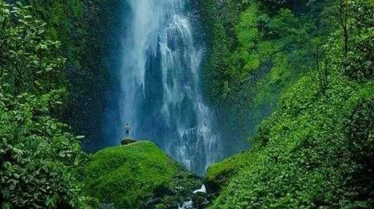 Air Terjun Pancuran Rayo, Pesona Alam untuk Pecinta Petualangan