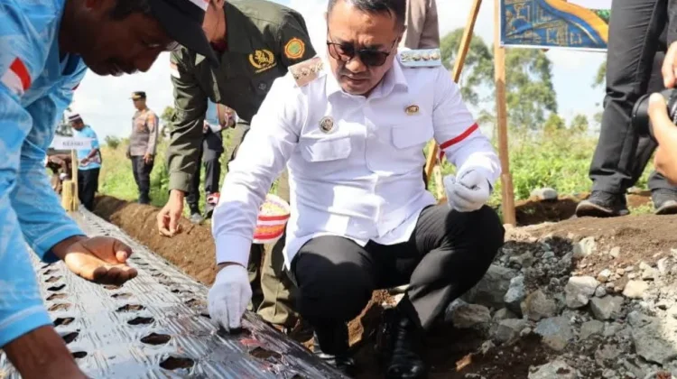 Wako Alfin Hadiri Gerakan Tanam Bawang Putih di Kayu Aro