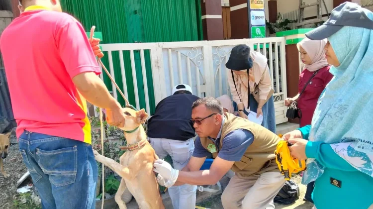 Cegah Rabies, Pemkot Sungai Penuh Gencarkan Vaksinasi Hewan Peliharaan