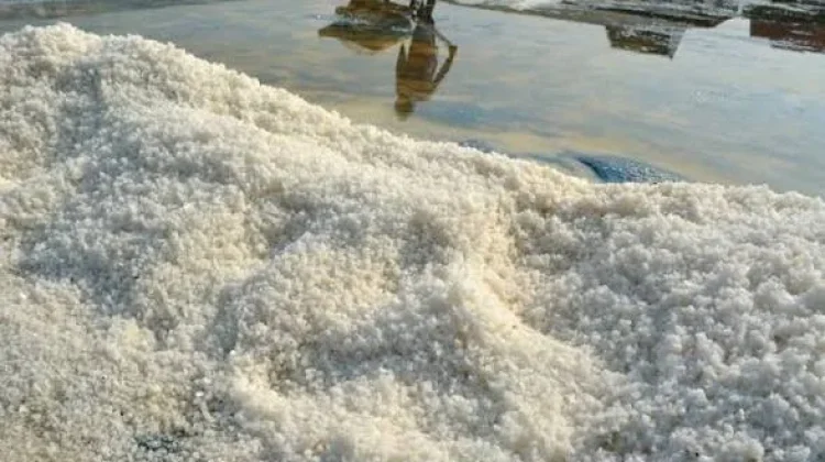 Konsumsi Garam Tercemar Mikroplastik, Warga Diminta Lebih Selektif Memilih Produk