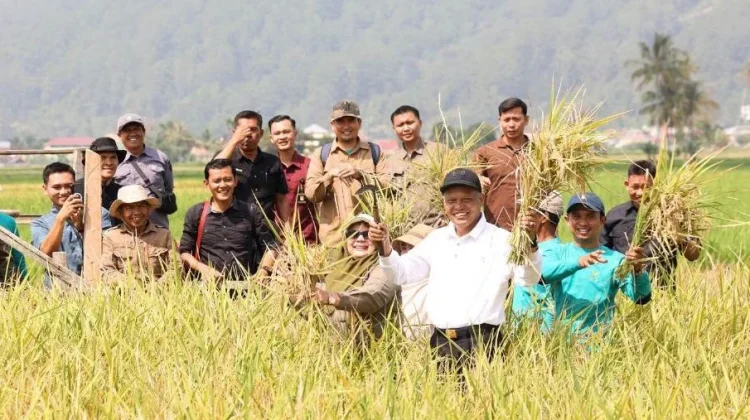 Sungai Penuh Pacu Produktivitas Petani dan Ketahanan Pangan