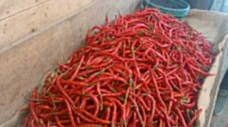 Harga Cabai Merah Meroket di Sungai Penuh,Pedagang Keluhkan Pasokan Berkurang