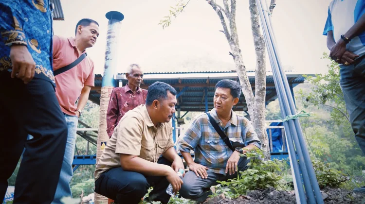 Bupati Monadi Tinjau Budidaya Nilam Bersama Buyer PT Natraco