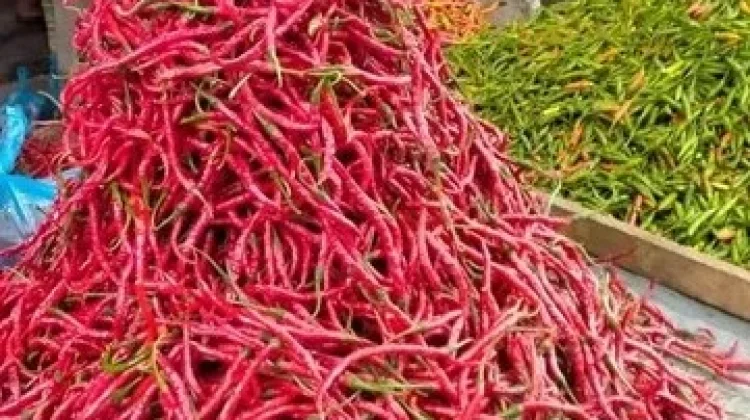 Harga Cabai Merah di Kerinci Tembus Rp80 Ribu, Warga Mulai Kurangi Belanja