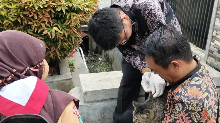 Cakupan Vaksinasi Rabies Capai 80 Persen, Petugas Lanjutkan Penyisiran