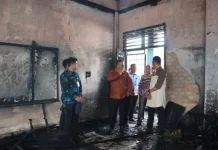 Wako Alfin Tinjau Langsung Lokasi Kebakaran di SMPN 2 Sungai Penuh