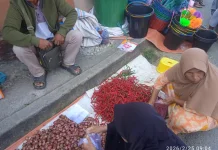 Pasokan Melimpah, Harga Cabai Merah di Pasar Belui Turun