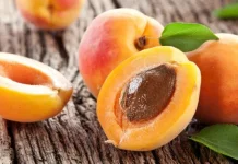 Apricot: Sibuah Oranye Kaya Manfaat untuk Kesehatan
