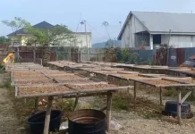 Kerupuk Kulit di Kerinci Laris Manis jelang Lebaran Idul Fitri
