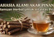 Rahasia Alami Akar Pinang, Ramuan Herbal untuk Pria