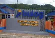 Bulog Sungai Penuh Optimistis Serapan Gabah Petani Terus Meningkat