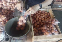 Harga Telur di Pasar Tanjung Bajure Stabil, Pedagang Keluhkan Pembeli Sepi