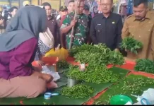 jelang Idulfitri, Bupati Monadi Tinjau Harga Sembako di Pasar Senen Siulak