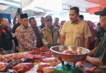 MBG Jadi Motor Ekonomi, Rp57 Miliar Mengalir ke Merangin Tiap Bulan