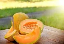 Hati-hati Bahaya Listeria pada Buah Impor