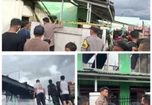Sijago Merah Mengamuk di Koto Datuk Kerinci