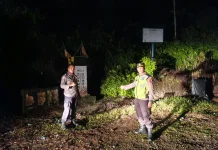 Longsor Tutup Jalur Sungai Penuh–Tapan, Truk Tertahan