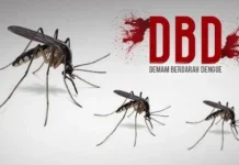 DBD Masih Mengintai Kabupaten Kerinci, Dinkes Catat 33 Kasus