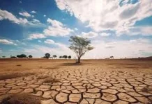 BMKG sebut waspada El Nino, Musim kemarau 2026 diprediksi datang Lebih Awal