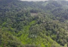 Balai TNKS Hanya Miliki 200 Personel, Pengawasan Kawasan Hutan Jadi Tantangan