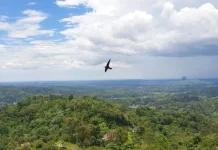 Hutan TNKS Terancam,Balai Besar Ungkap Kerusakan Capai 7,36 Persen