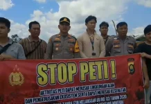 Razia PETI Merangin Diduga Bocor, Tambang Kosong