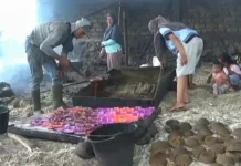 Petani Sungai Asam Hadapi Tekanan Biaya, Lahan Gula Merah Beralih Fungsi