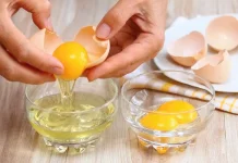 Putih Telur dan Kuning Telur, Mana yang Lebih Baik?