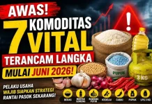Mulai Juni 2026, Tujuh Komoditas Vital Terancam Langka