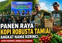 Festival Tamiai Angkat Kopi Kerinci menuju Pasar Dunia