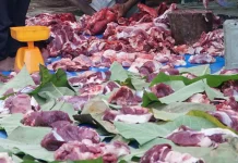 Tips Menyimpan Daging Kurban agar Tetap Segar dan Sehat