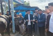 Wako Alfin Serahkan Sapi Kurban Bantuan Presiden