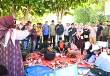 Perdana Digelar, Kurban ASN Sungai Penuh Jadi Momentum Kebersamaan