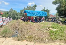 Semangat Berkurban,Empat Desa Koto Majidin Potong 39 Ekor Sapi