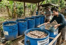 Ide Ternak Rumahan Ini Ramah Kantong dan Cepat Cuan
