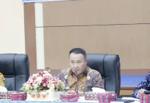 Alfin Tekankan Kolaborasi dan Inovasi Tingkatkan Pendapatan Daerah